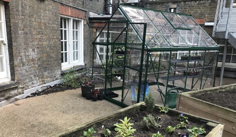 The greenhouse and vegetable beds at Hopkinson House